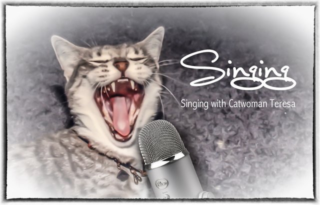 sing_cover