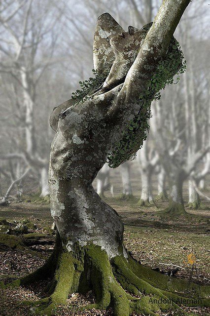 e9864a586eb2356c1fe11ae4e5760acc_tree_carving_tree_sculpture