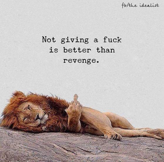 Afbeeldingsresultaat voor not giving a fuck is better than revenge