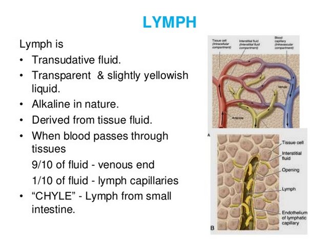 lymph cleanse