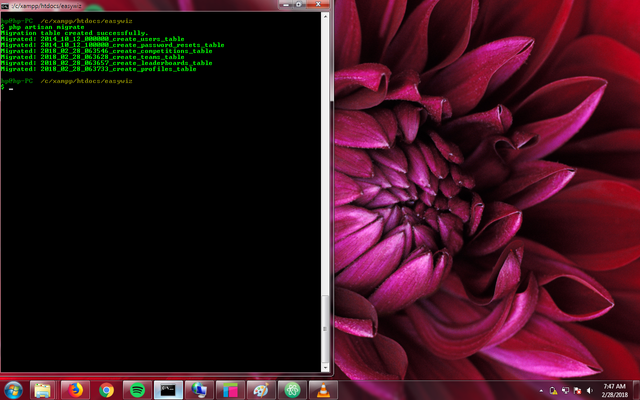 Screenshot of the migration terminal