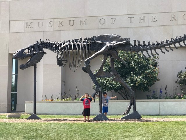 museum of the rockies t rex