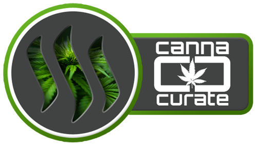 Canna-Curate-winner-bygrow-pro5