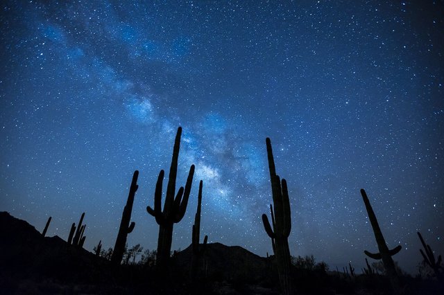 Desert Night