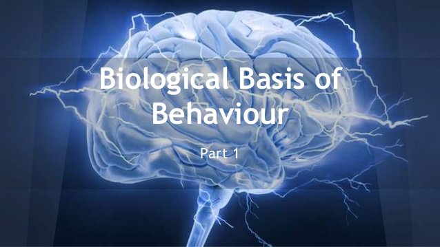 Biological Bases Of Human Behavior -Psychology Of Learning — Steemit