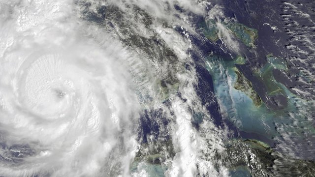 Climate Change and Vibrio Vulnificus