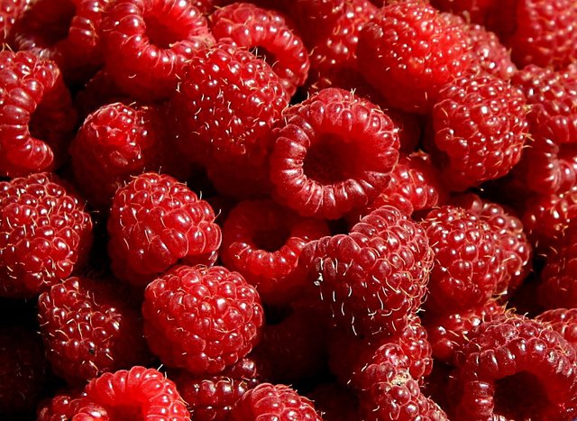 Kết quả hình ảnh cho Raspberries