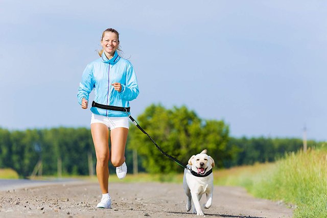 Image result for running with pets