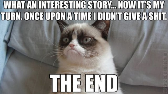 Image result for grumpy cat meme