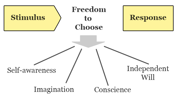 Proactivity Defined From The 7 Habits Of Highly Effective People By Stephen R Covey Steemit