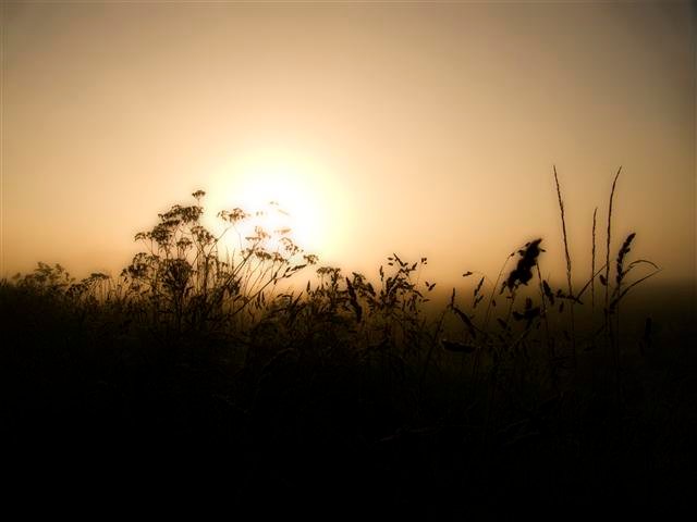 Silhouette sunrise playfulfoodie