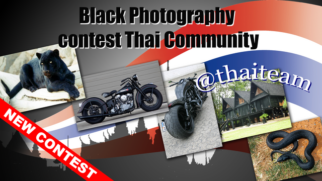 black_photography_contest.png