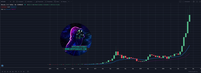 003_big_crypto_market_on_thin_ice_first_time_since_the_bull_run_started_cryptoxicate_com.png