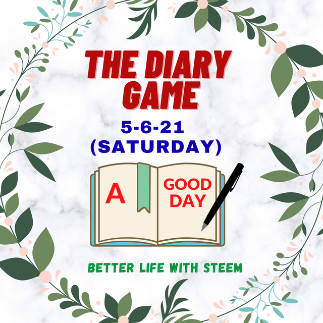 the_diary_game.png
