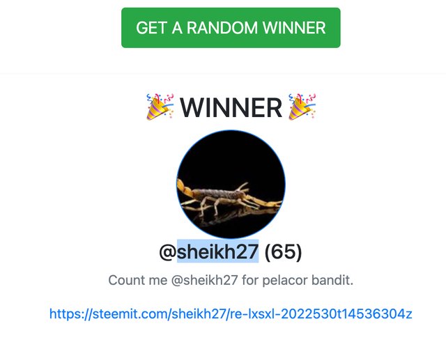 hive_random_winner_picker_2022_06_29_11_18_15