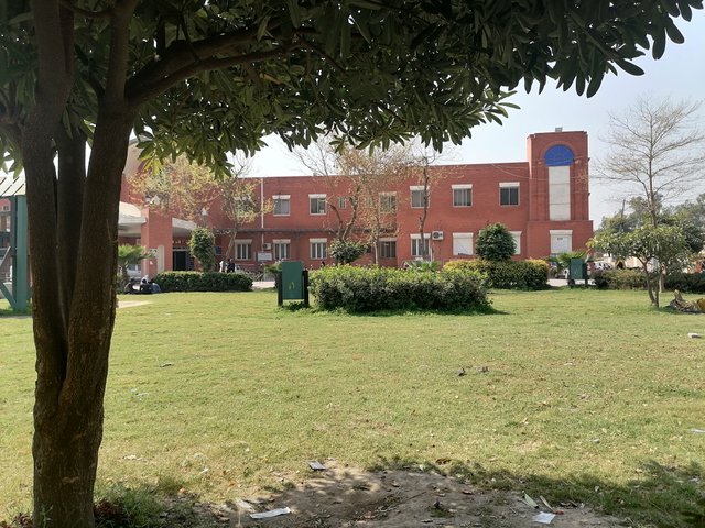 img_0.601123368464091.jpg