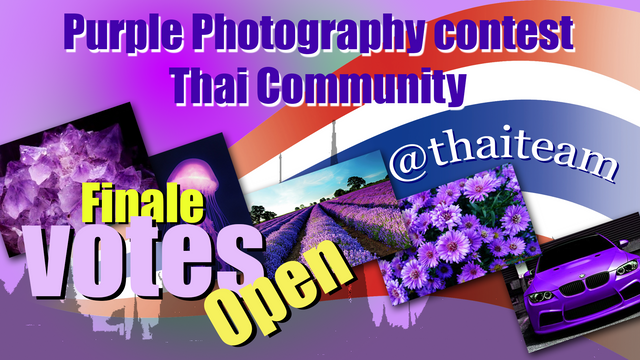 purple_photography_finale_votes_2.png