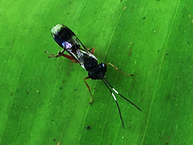img_0042s.png