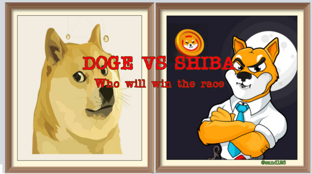 doge_vs_shiba.png