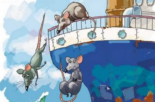 rats sinking ship