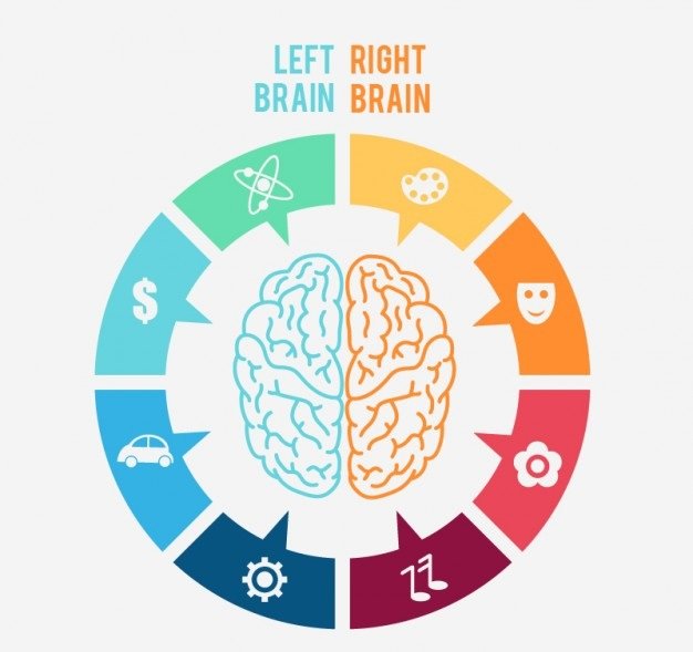 left-and-right-brain-infographic_23-2147515202.jpg