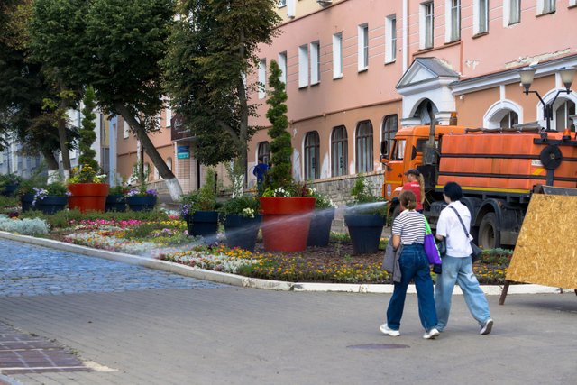 DSC02403.jpg