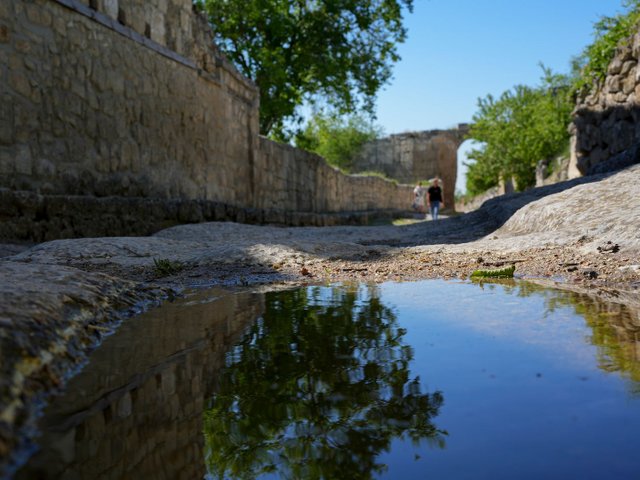 DSC06007.jpg