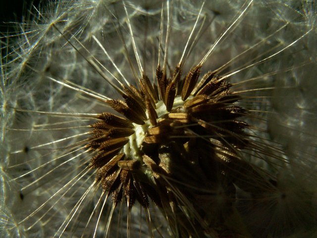 PICT0497.JPG