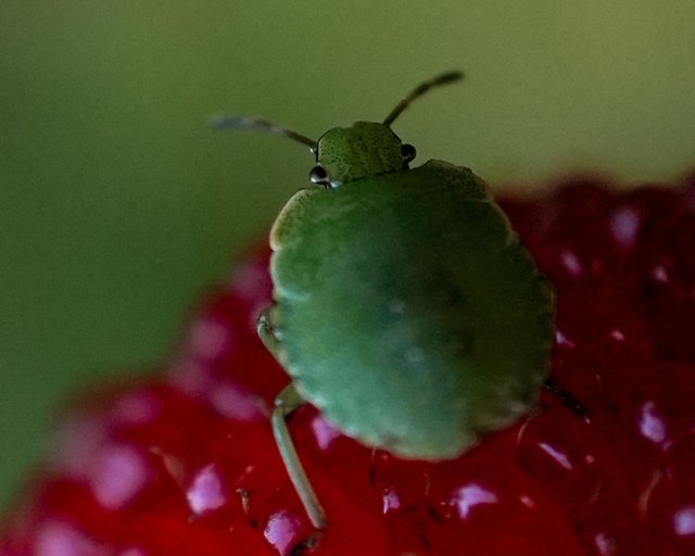 DSC03110-2.jpg