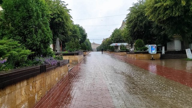 IMG_20250626_085411.jpg
