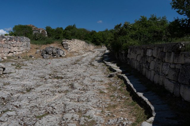 DSC05914.jpg