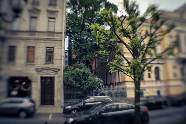 DSC08561.jpg