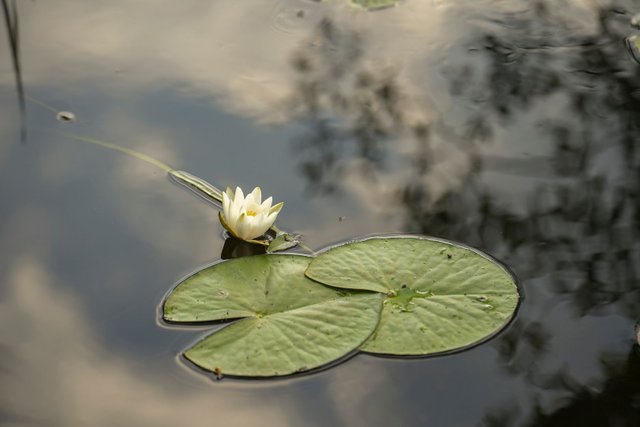 DSC09713.jpg