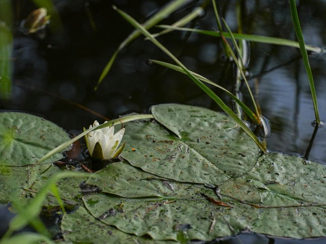 DSC09717.jpg