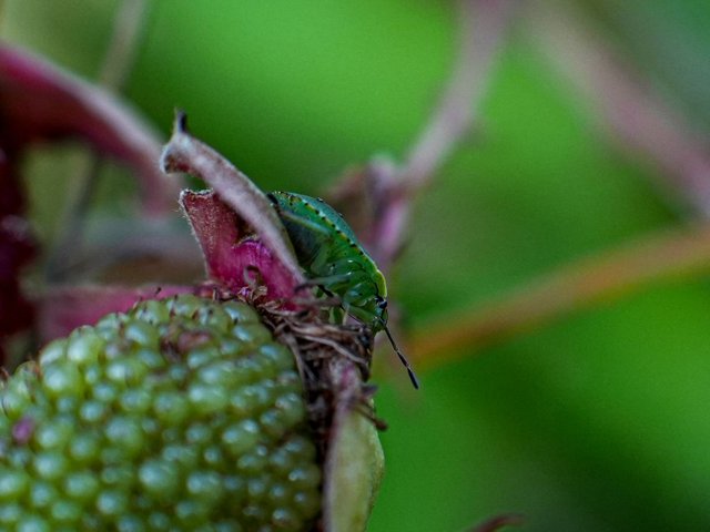 DSC03164.jpg