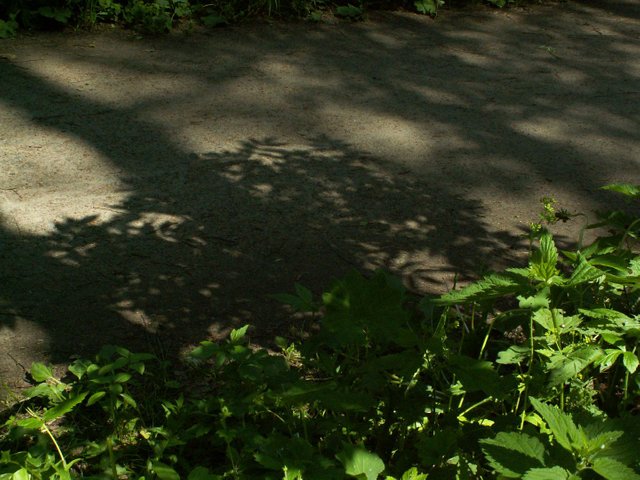 PICT0479.JPG