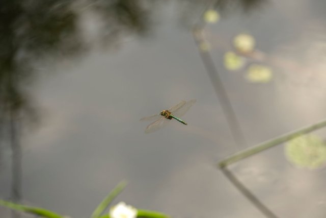 DSC09714.jpg