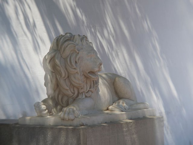 DSC03595.jpg