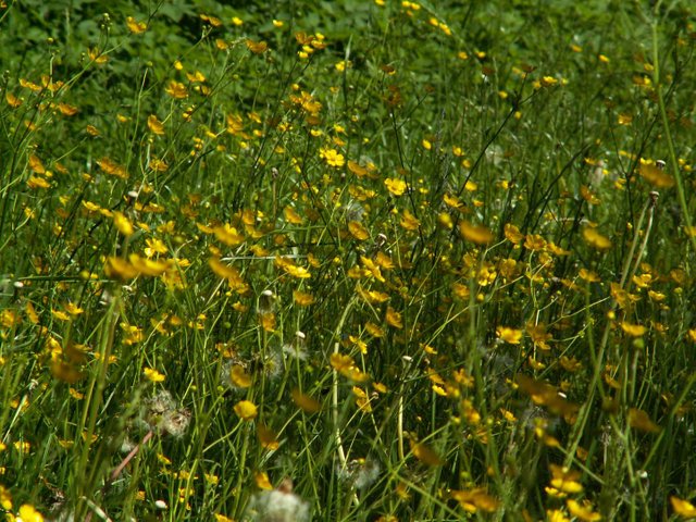 PICT0477.JPG