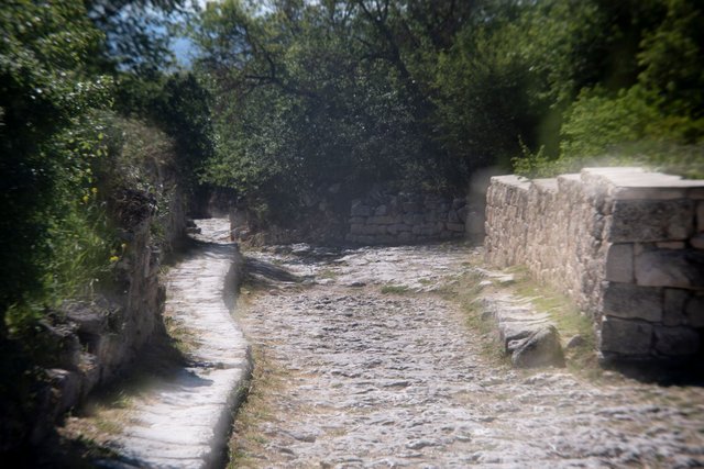 DSC06014.jpg