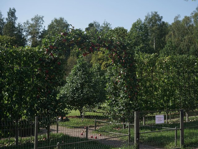 DSC06544.jpg