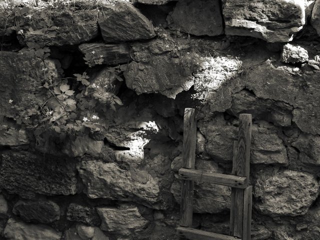 DSC03809.jpg
