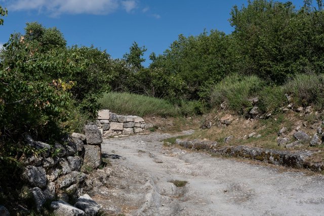 DSC05985.jpg