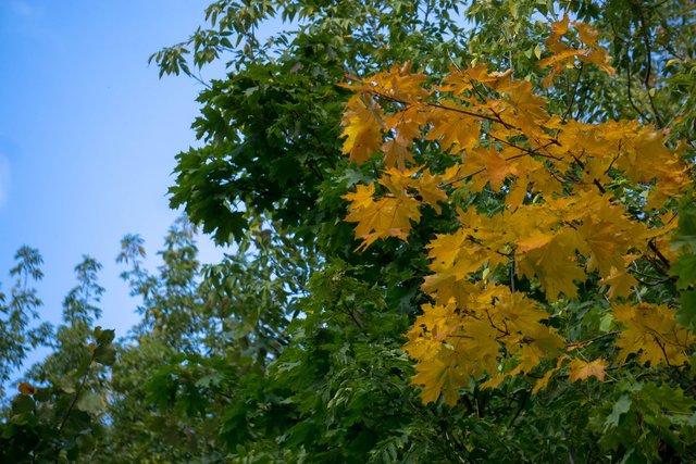 DSC02787.jpg