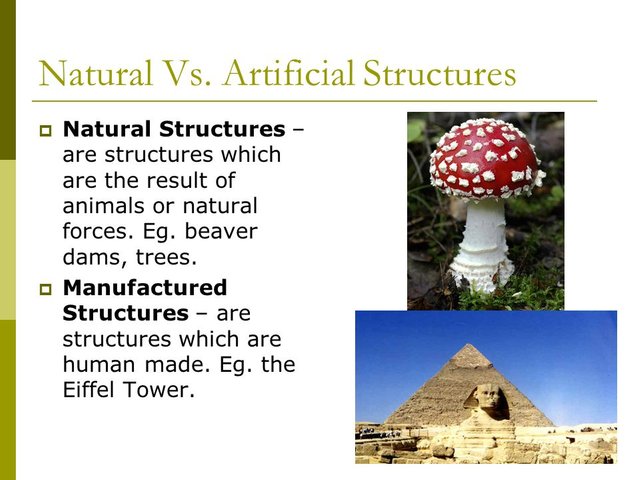 Man Made Shell Structures Examples