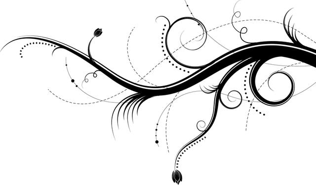 2b655f8fb76215995cf8e818026b9abc-vector-black-white-ornaments.png