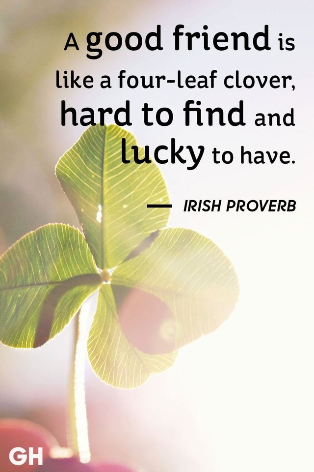 Irish Quote About Friendship Friendship; The Enlightenment It Brings To One's Heart, Yersterday, Today  And Tommorrow — Steemit