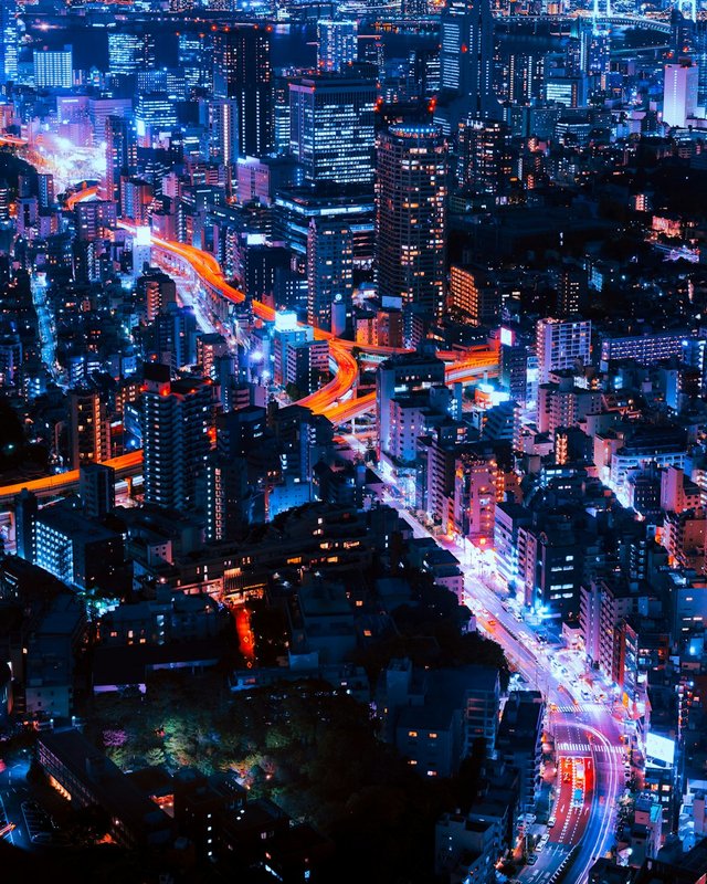 Beautiful skyline of Tokyo with orange and blue lights illuminating its streets