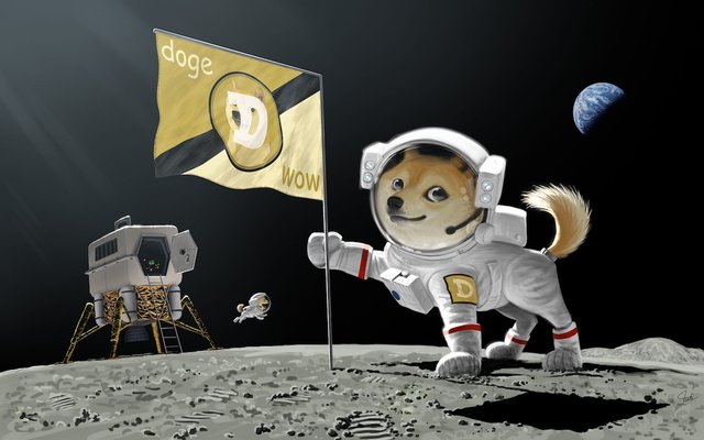 Dogecoin aya doğru