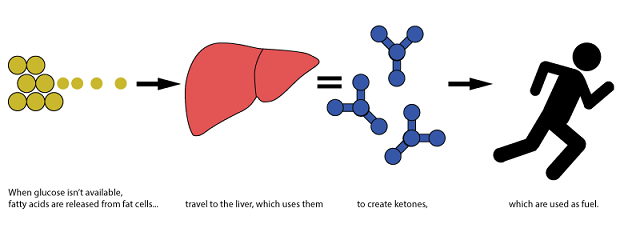 Ketones.png